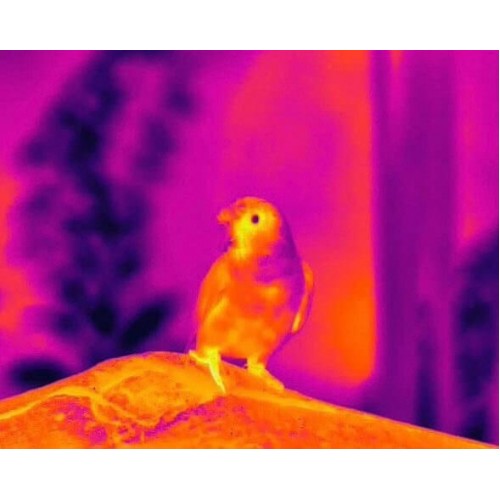 Тепловизионный бинокуляр Guide TN430 400х300, ø35мм, лазерный дальномер в Керчи